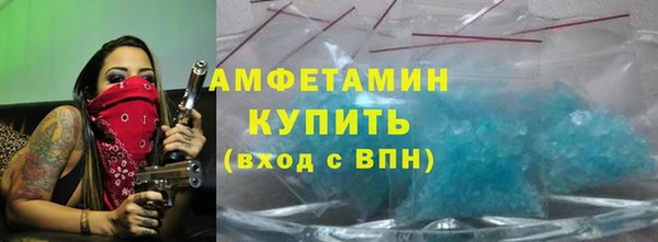 молекула духа Новозыбков