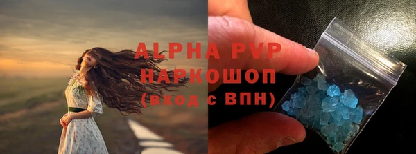 молекула духа Алексин