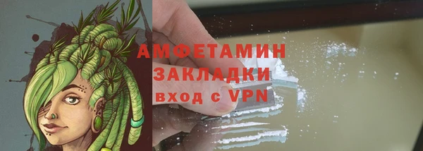 молекула духа Новозыбков