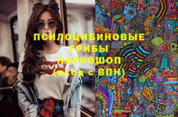 дурь Алексеевка