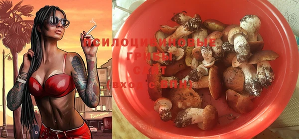 дурь Алексеевка