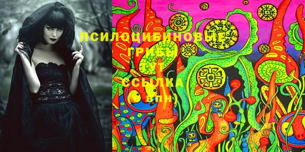дурь Алексеевка