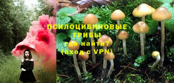 ешки Алзамай