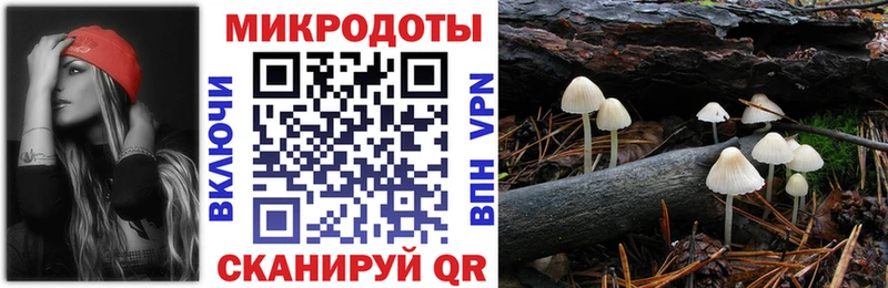 Галлюциногенные грибы прущие грибы  блэк спрут   Асино 